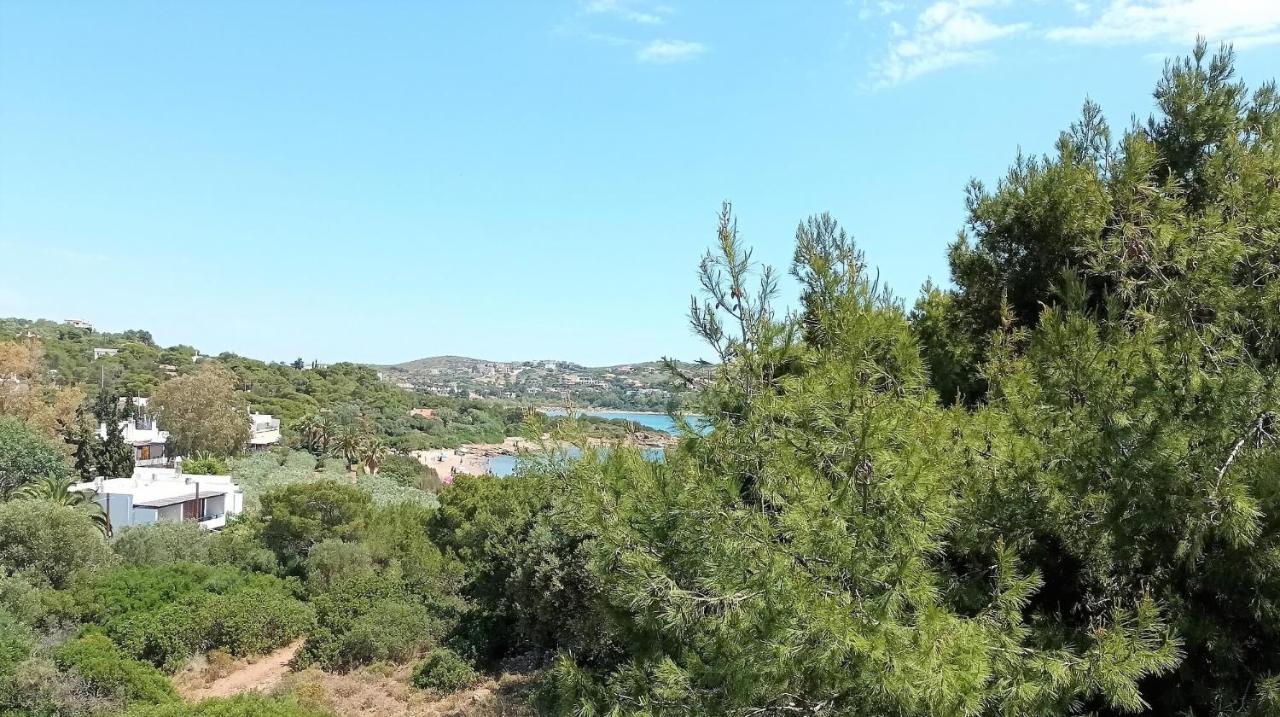 Dea Del Mare Complex In Front Of The Sea. Villa Sounion Eksteriør billede